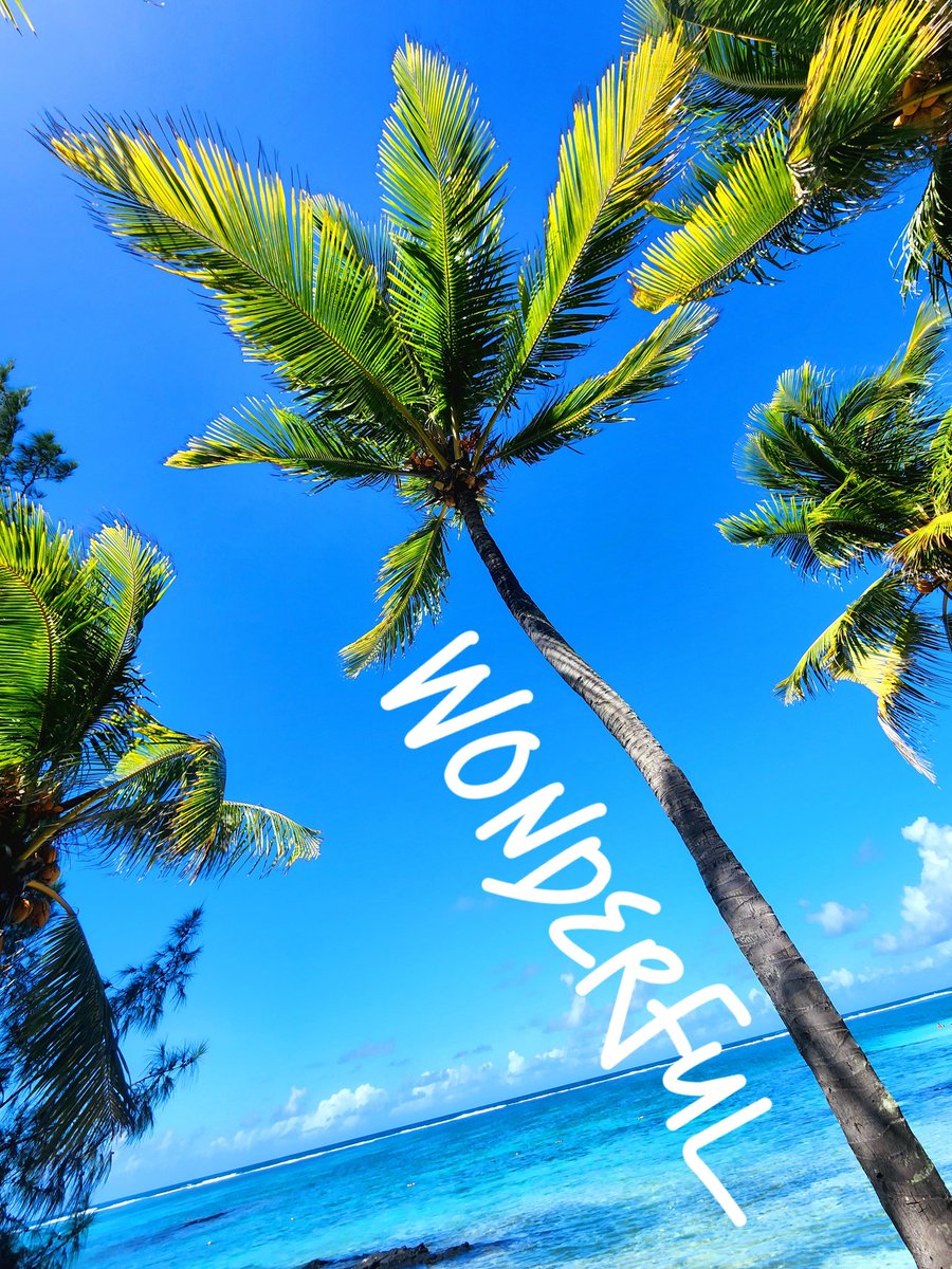 RustedNexus 🇿🇦 tweet media