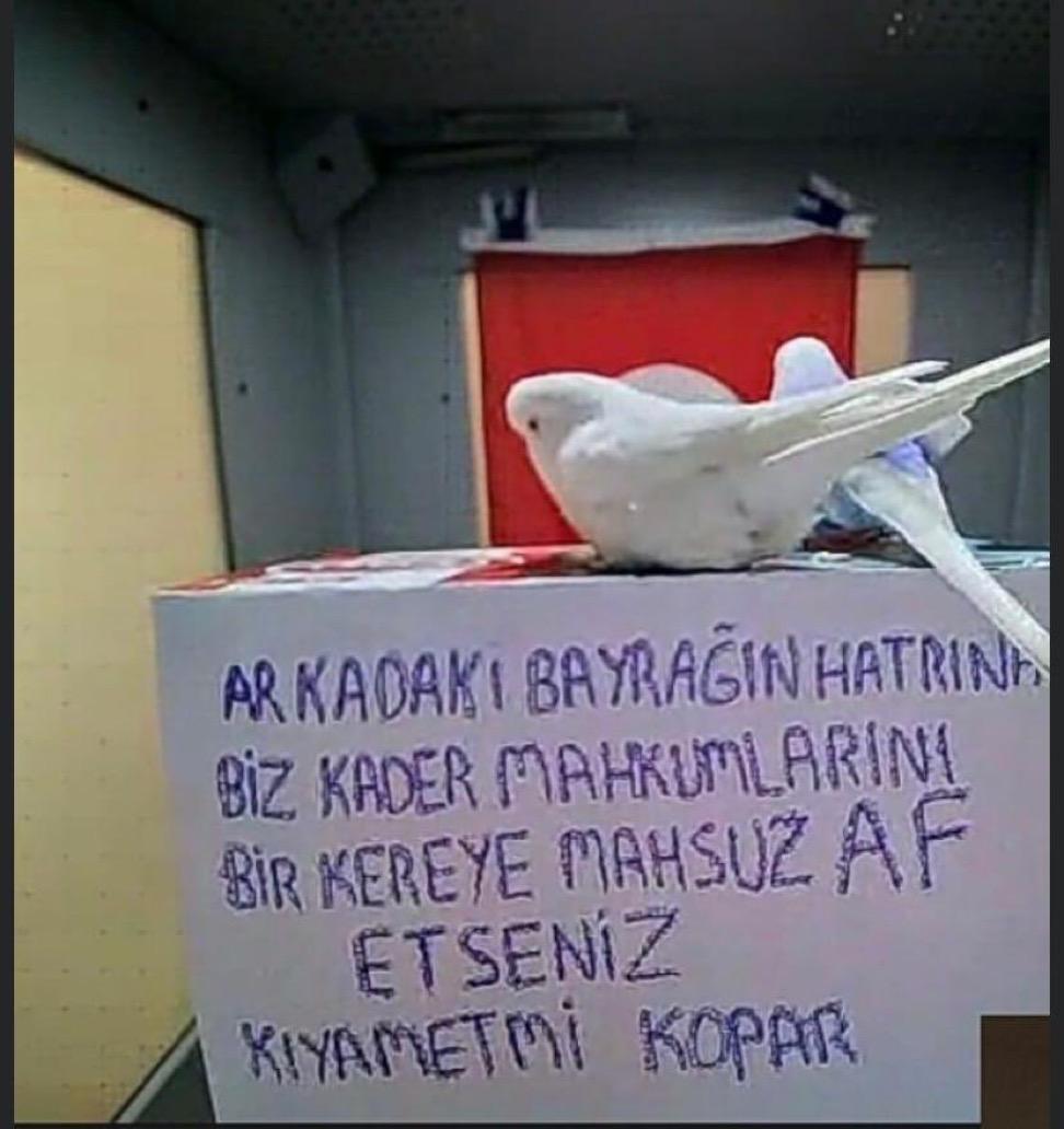 Şuan cezaevlerinde umutla bekleyen,
Yüzlerce binlerce mahkum var.
Umutlarını ellerinden almayın.
Umut kapılarını kapatmayın.
Islah oldular,onları hayata bağlayın hayattan koparmayın❗

#AdliMahkumaAF
<a href="/yilmaztunc/">Yılmaz TUNÇ</a> <a href="/RTErdogan/">Recep Tayyip Erdoğan</a>
<a href="/dbdevletbahceli/">Devlet Bahçeli</a> <a href="/YildizFeti/">Feti Yıldız</a>