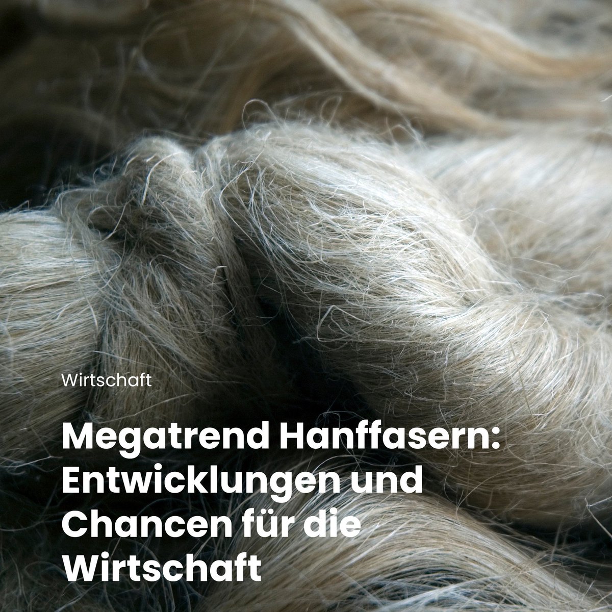 hanfmagazin's tweet photo. Der Markt für die aus rauschfreiem Cannabis gewonnenen Fasern wächst massiv ... 💚🌿
➜ Link zum Artikel: https://t.co/8H5E2CLUOg
#hanfmagazin #hanf #hanfpflanze #hanffasern #hanfwirtschaft #nutzhanf #hanffaser #hemp #hempfiber #hanfprodukte https://t.co/MNfiGzBNeM