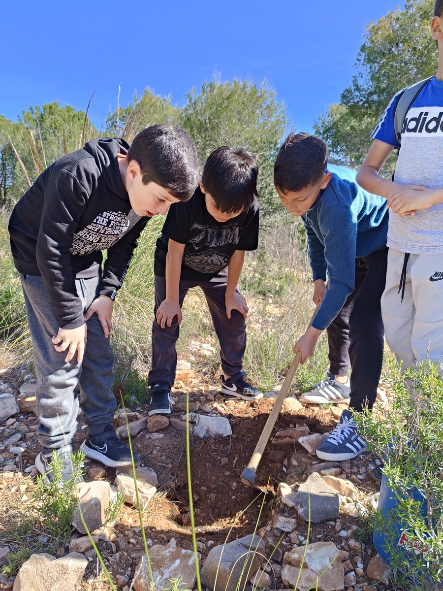 🌳🌲El día 21 de marzo se celebra el Día del Árbol. En nuestro sector, además añadimos dos conceptos más, el de los áridos y el de la biodiversidad. Así lo estamos viviendo

<a href="/anefaridos/">ANEFA</a>
<a href="/arivalCV/">Arival</a>
<a href="/euskalarido/">Euskal Árido</a>

#díadelárbol #áridos #biodiversidad #DAAB2024

aridos.info/dia-del-arbol-…
