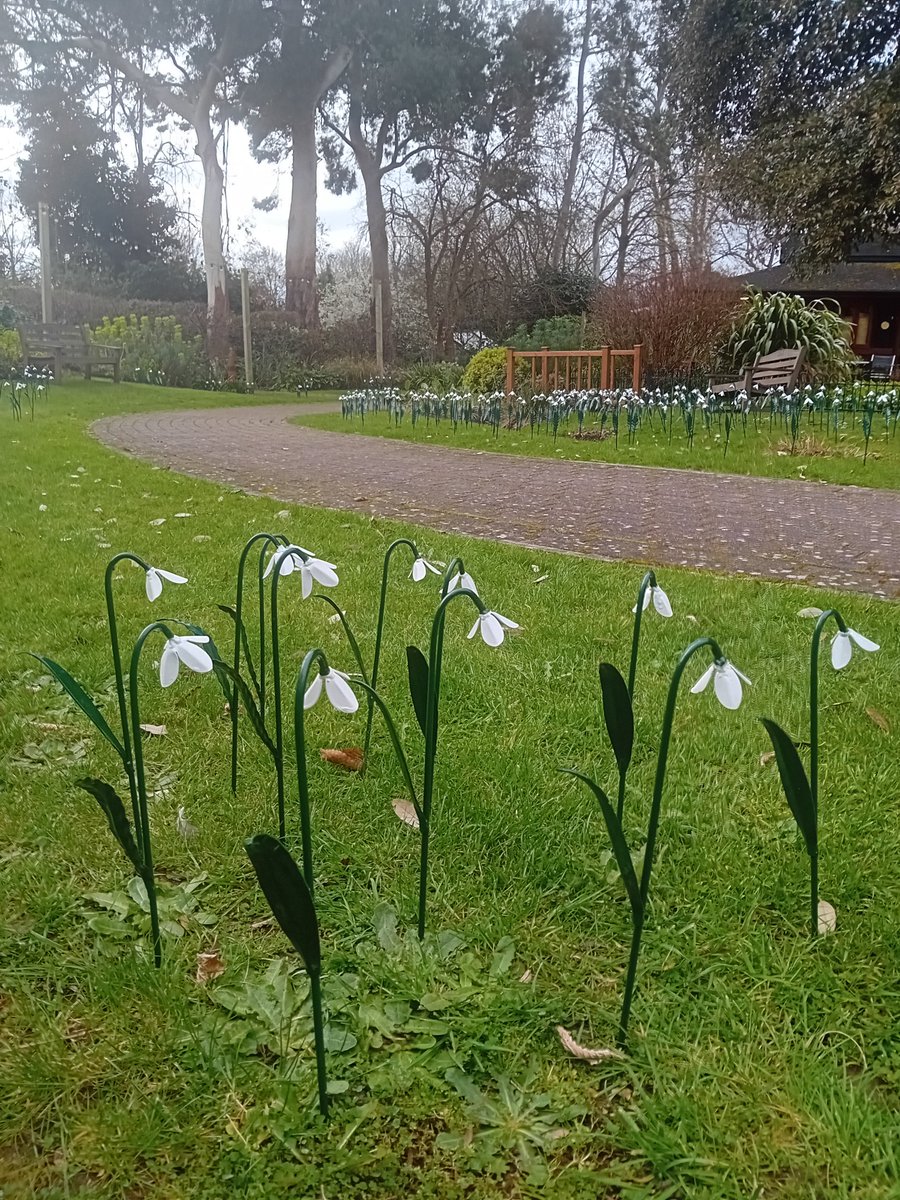 NicholasRWhite's tweet photo. Just sharing a couple more photos of the stunning Snowdrop installation at St Christopher's @StChrisHospice ... https://t.co/zE3dFx0VAG