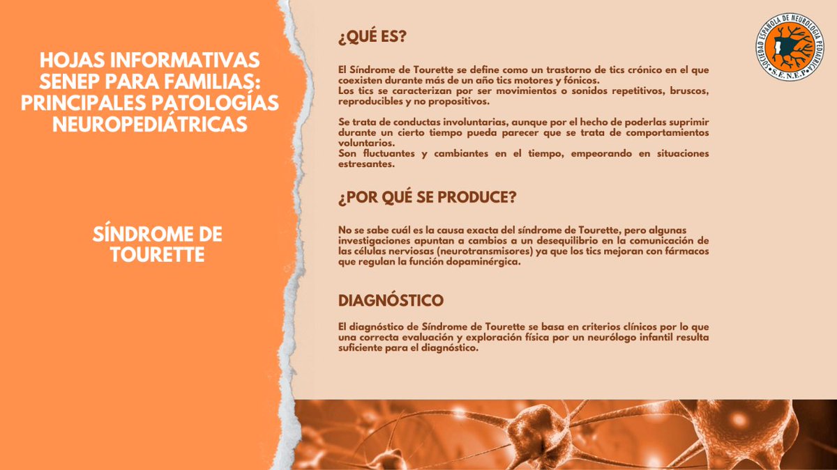 ¿Conoces el #SíndromeDeTourette?
 
Descubre todos los detalles en las Hojas informativas SENEP para familias: principales patologías #neuropediátricas 👉 senep.es/images/site/ho…