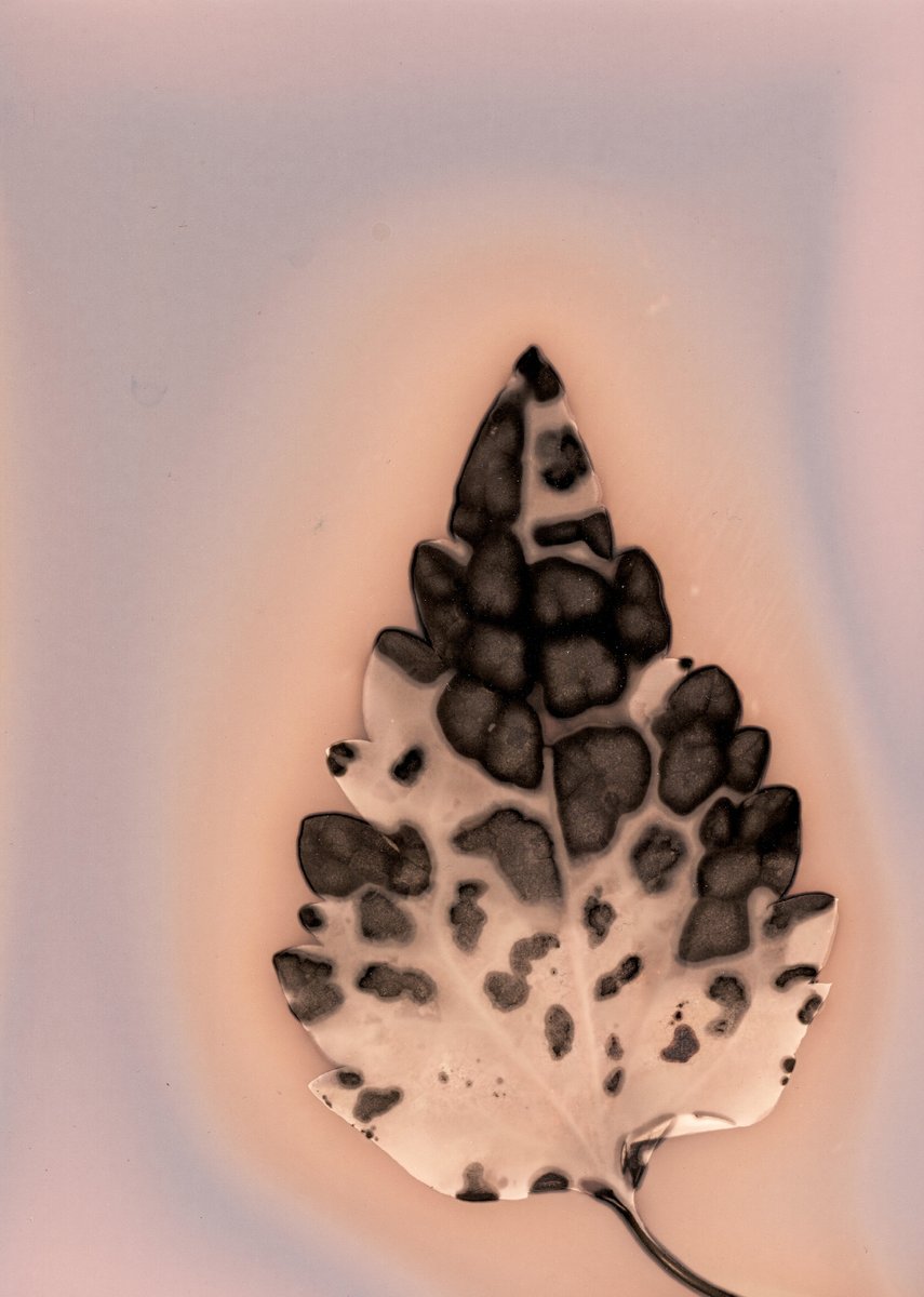 residence1plus2 tweet media