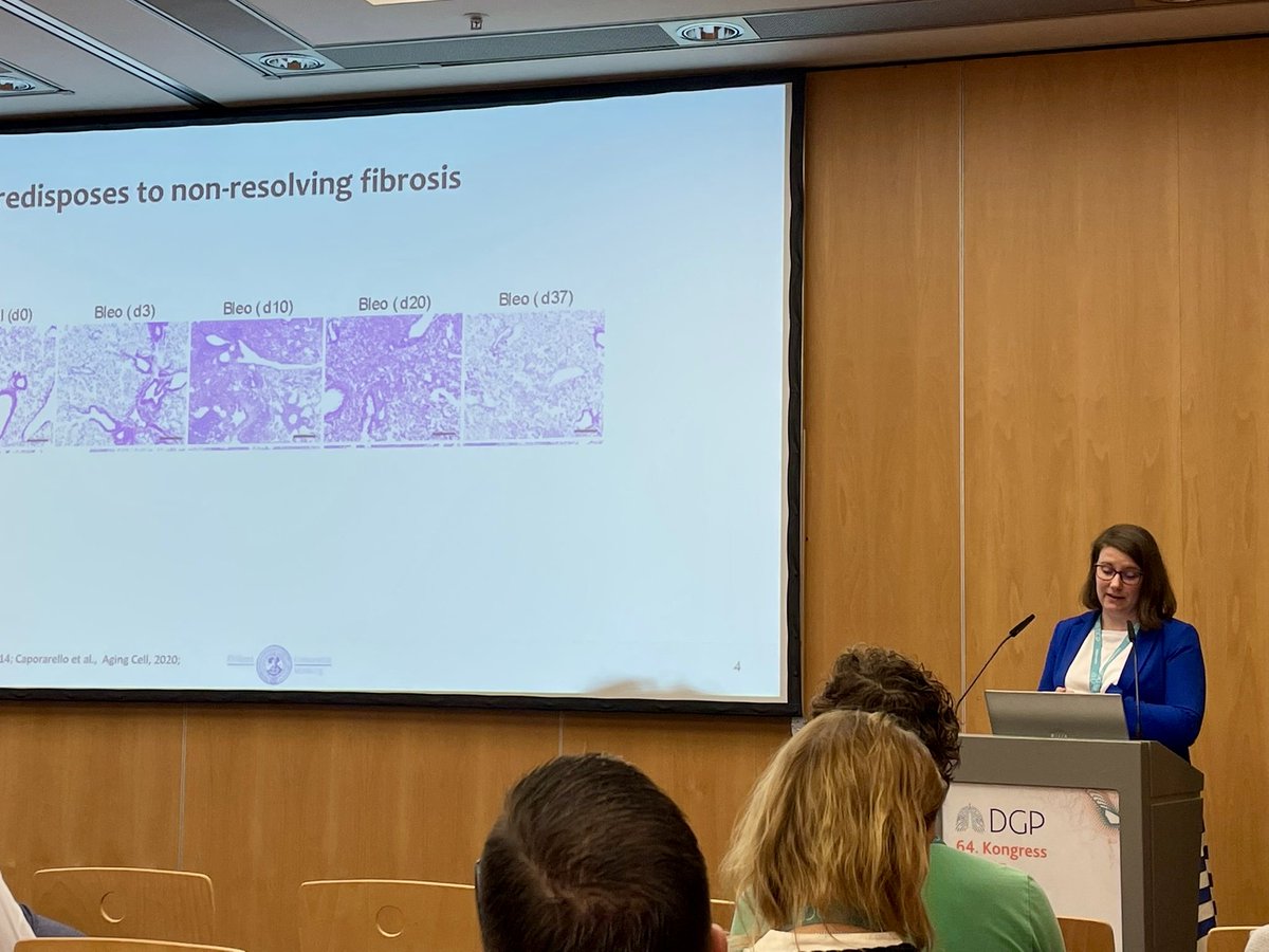 Mareike Lehmann @Mkg_Lehmann gave a great talk on the significance of #ageing in #lungdiseases at #DGP2024 #DGPneumo @Uni_MR @LungHealthMUC