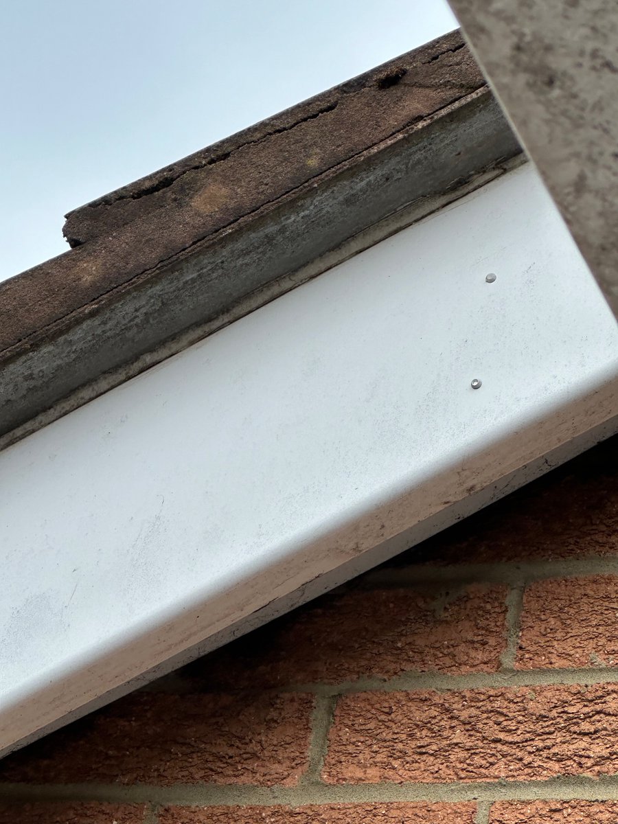 Corey18105573's tweet photo. @Crocidolite11 @11202011t My undercloak has degraded I can see fibres on the top right part. House was built in 1995 https://t.co/LaN1So0j5K