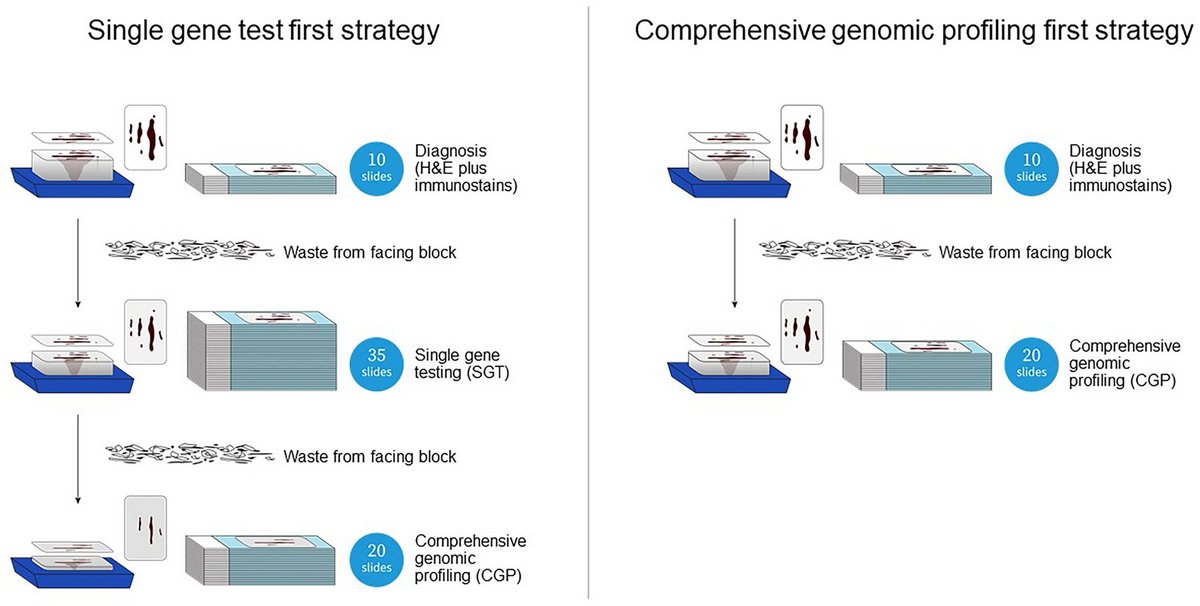 ⭐️Just published in time for the #ELCC24 👉The Impact of Prior Single-Gene Testing(SGT) on Comprehensive Genomic Profiling Results for Patients with Non-Small Cell Lung Cancer 👉For patients with NSCLC, initial use of SGT increases subsequent CGP test cancellations, turnaround…