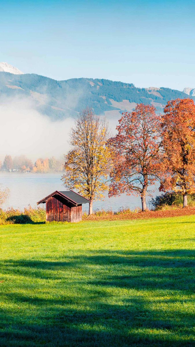 Misty morning at the rural lakeside
