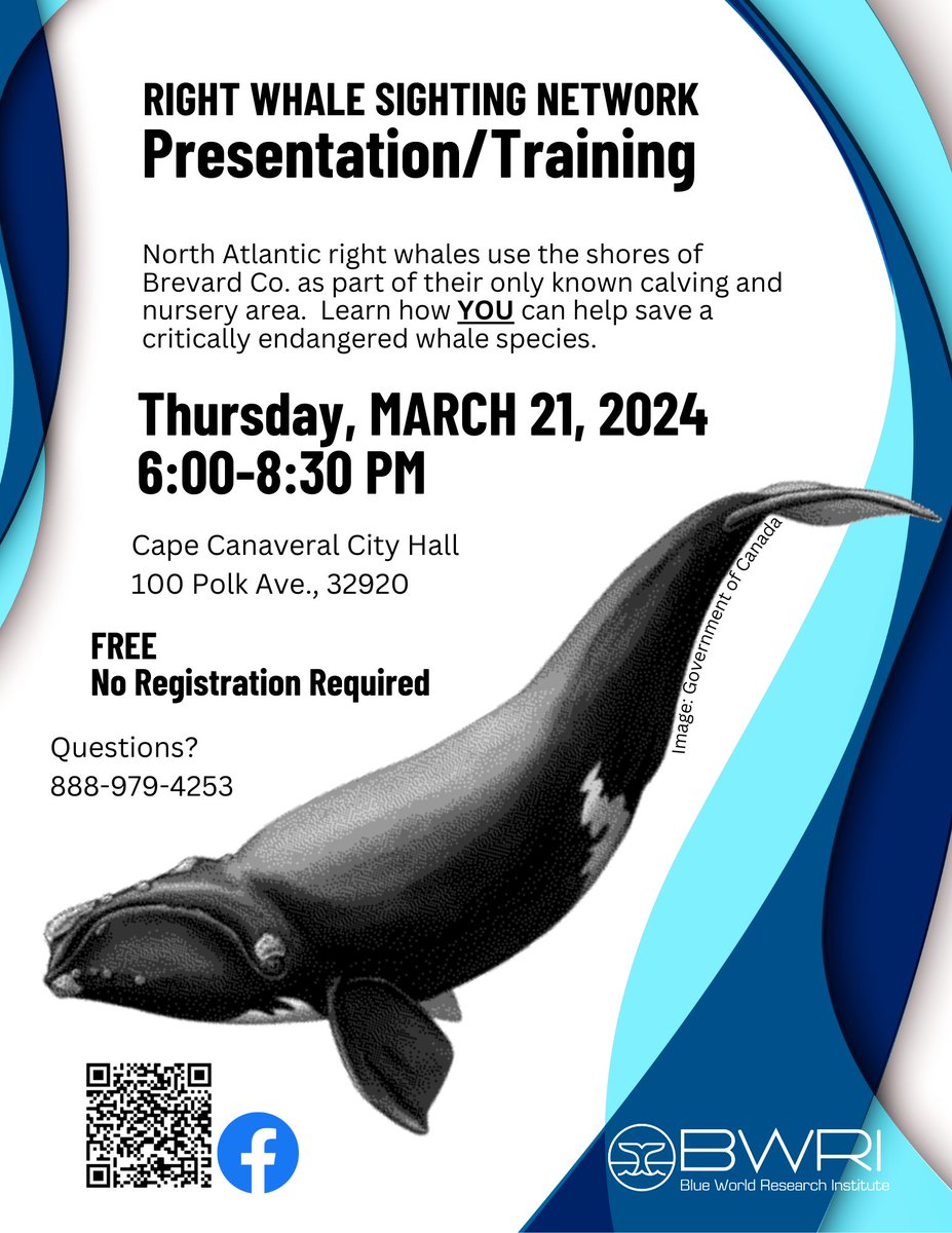 CapeCanaveralFL's tweet image. Happening tonight at 6:00 pm at Cape Canaveral City Hall in conjunction with the #BlueWorldResearchInstitute – Right Whale Public Outreach and Awareness Session. Come learn about this highly endangered species that passes our coastline each year! 🌊🐳
 
#RightWhales #Outreach