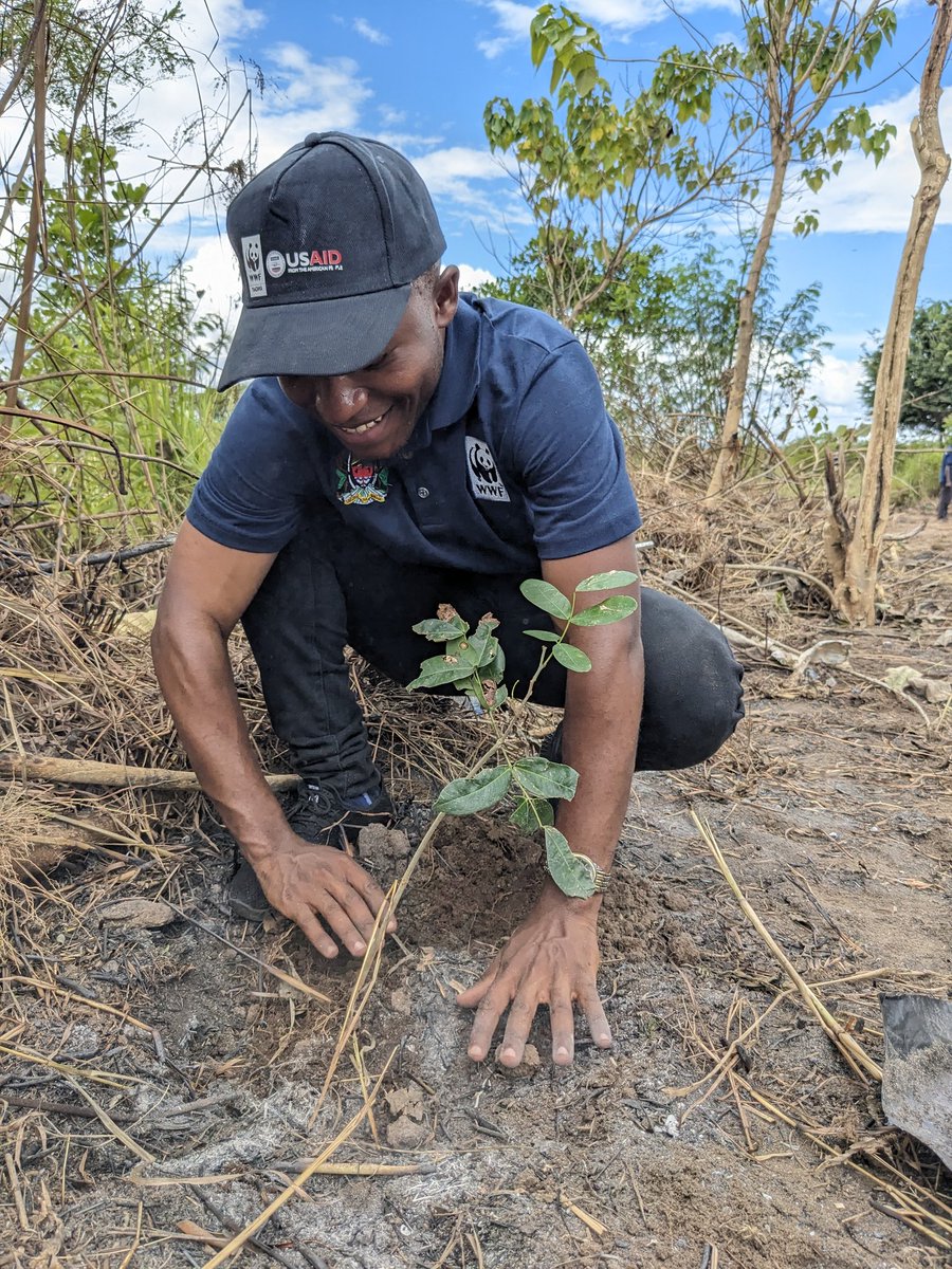 SaustineLusanzu's tweet photo. Happy World Forestry Day 2024: Today, March 21, people across the world are celebrating this significant occasion.
 #Connect2forests #ForestsDay #ForestConservation https://t.co/owSfjxltyO