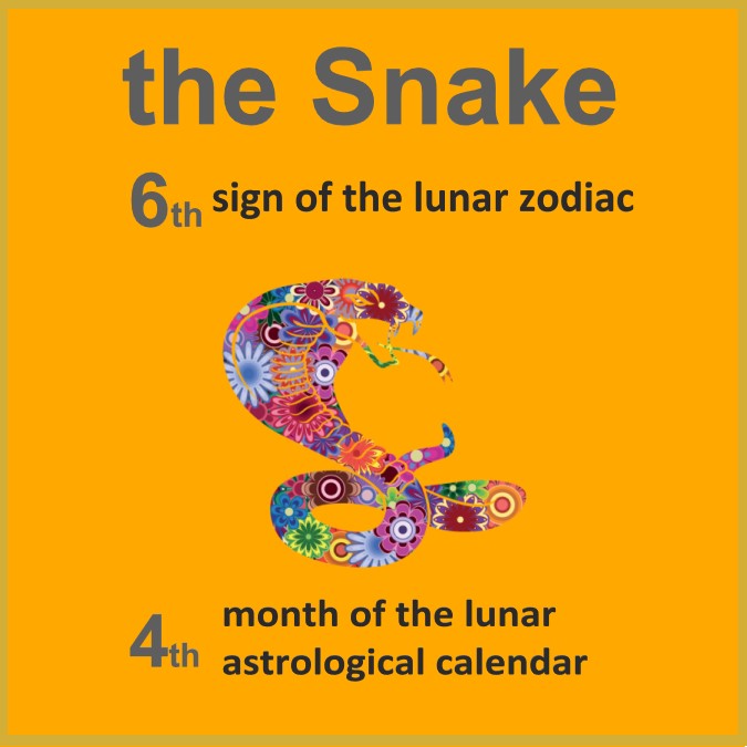 The 🐍 symbolizes sophistication and grace, wrapped in an air of mystery and intrigue; subtle, cautious and discreet and perhaps the most intellectual of all the 12 zodiac signs!