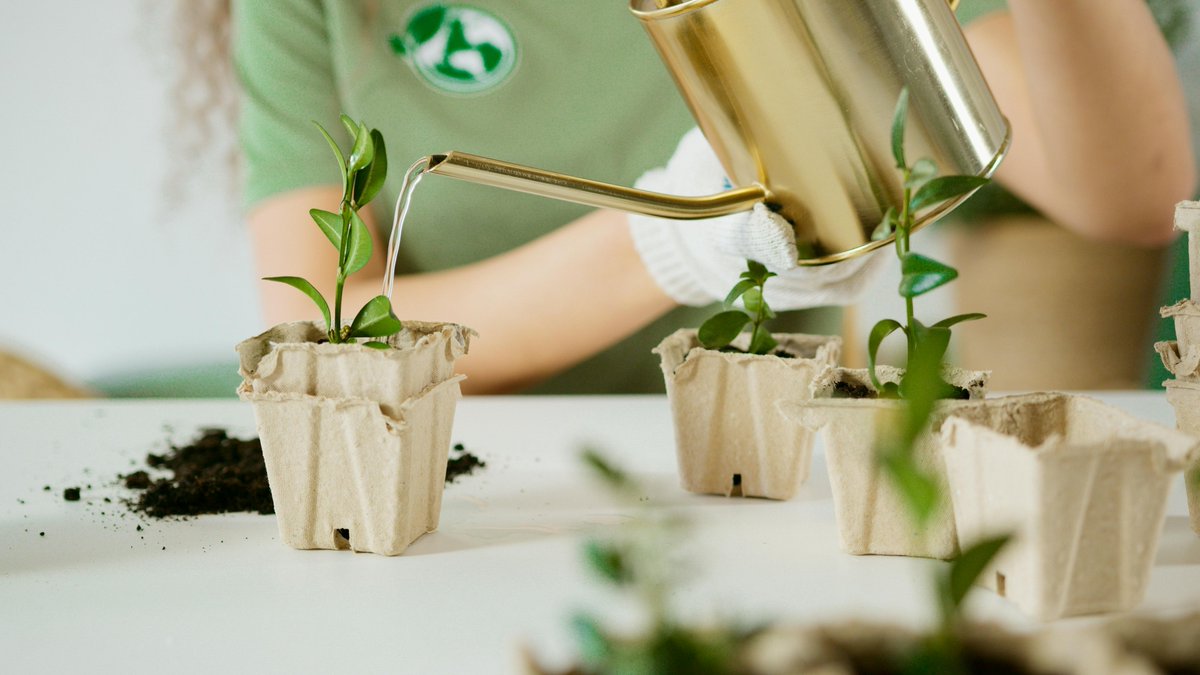 FunbrainBcn's tweet photo. 🌱Com podem aprofitar al màxim les vacances amb família? L'arribada de la primavera és un bon moment per experimentar, crear i promoure la curiositat.

A la nova entrada del #BlogFunbrain et deixem algunes propostes per aquesta Setmana Santa a la natura.🌻
https://t.co/mG5RYQRu1U https://t.co/f2bnYv5emL