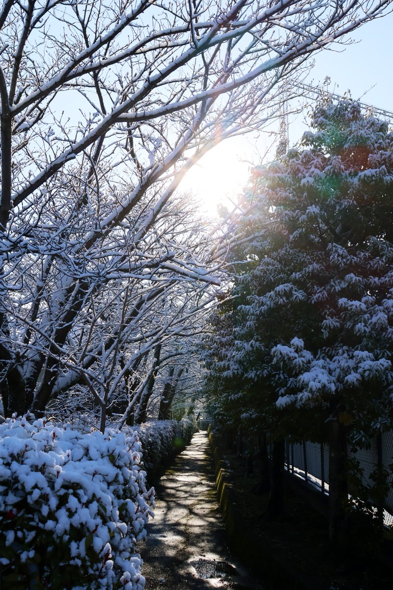 OONOHIROYUK1's tweet photo. 2024年3月21日
｛CanonEOSR10｝
#道 #木 #川 #ミナミ草津ゴルフガーデン 
#雪 #snow #雪景色 #histrip_japan #tokyocameraclub #shrin #composition #snowphotography 
#滋賀県 #草津市 #滋賀県草津市 
#canon #eos #eosr10 #canoneosr10 #canonr10 https://t.co/t84Fpcogtm