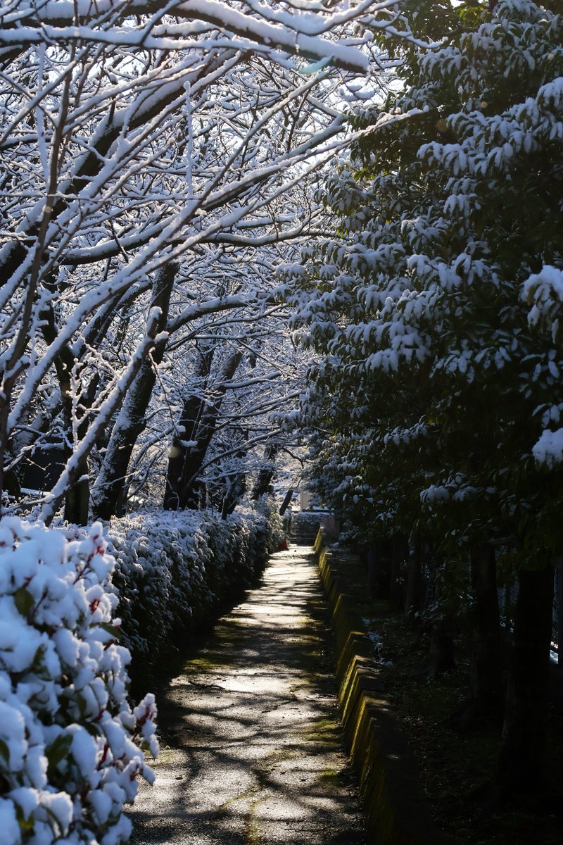 OONOHIROYUK1's tweet photo. 2024年3月21日
｛CanonEOSR10｝
#道 #木 #川 #ミナミ草津ゴルフガーデン 
#雪 #snow #雪景色 #histrip_japan #tokyocameraclub #shrin #composition #snowphotography 
#滋賀県 #草津市 #滋賀県草津市 
#canon #eos #eosr10 #canoneosr10 #canonr10 https://t.co/t84Fpcogtm