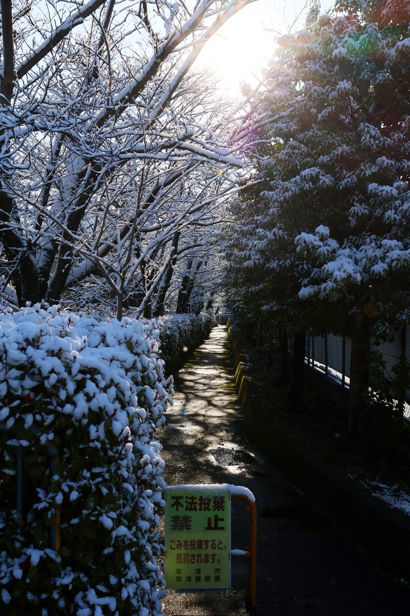 OONOHIROYUK1's tweet photo. 2024年3月21日
｛CanonEOSR10｝
#道 #木 #川 #ミナミ草津ゴルフガーデン 
#雪 #snow #雪景色 #histrip_japan #tokyocameraclub #shrin #composition #snowphotography 
#滋賀県 #草津市 #滋賀県草津市 
#canon #eos #eosr10 #canoneosr10 #canonr10 https://t.co/t84Fpcogtm