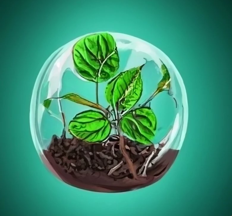 AgroReGenerations.io tweet media