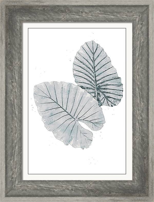 williams_pam's tweet photo. Abstract Palm Leaf by Pamela Williams

Palm trees and wind dance,
a breezy sensuous tango;
They sway with the tide

#SharePamsArt👇
https://t.co/F7cEtQ8IiY

#TheArtDistrict #AYearForArt #BuyIntoArt #art #homedecor #wallart #potd #tropical #palmleaves #frond #coastaldecor https://t.co/Mla3Yp14L7