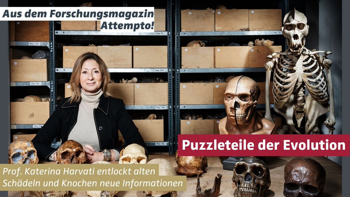 uni_tue's tweet photo. Puzzleteile der #Evolution 👉 Forschungsprojekt FIRST STEPS wirft neuen Blick auf die Wanderbewegungen des frühen #Homosapiens - und könnte unser Bild von der Besiedlung #Europas verändern: https://t.co/q5auSTjK5F 📷 B. Steinhilber @Harvatilab_tue #Paläoanthropologie #Attempto https://t.co/1K2hXxWzQC