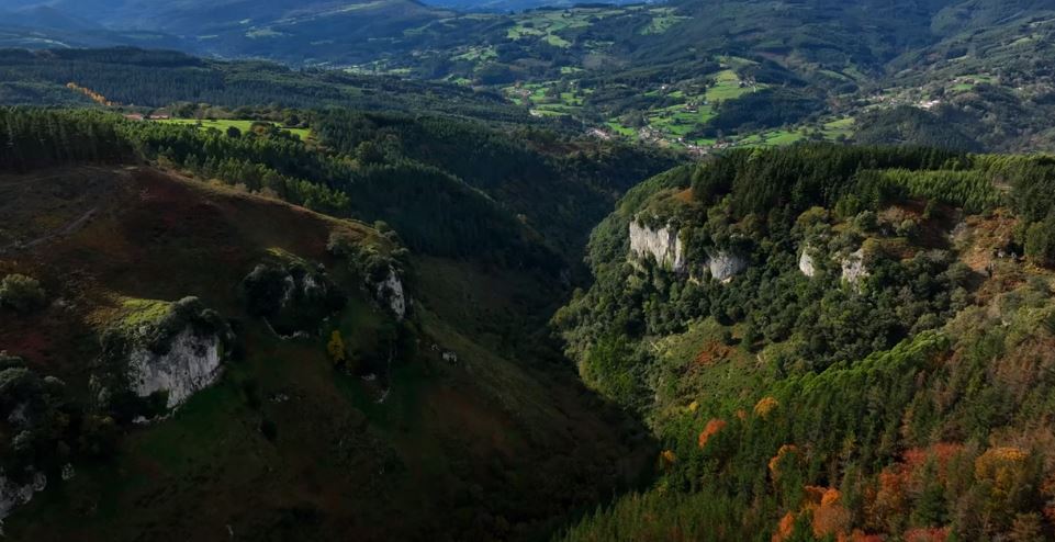 🌳🌳🌳En el Día Internacional de los Bosques: 
Enkarterri Bizirik denuncia el impacto de los macroproyectos eólicos sobre nuestro patrimonio natural
👉enkarterribizirik.org/index.php/2024…

#SalvemosEnkarterri #DiaInternacionalDeLosBosques  

@rebeldesenlinea