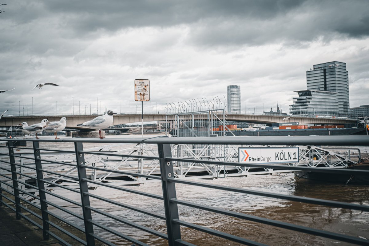 Jeden Tag ein Foto!
#Fotopost Tag 57

----
#photography