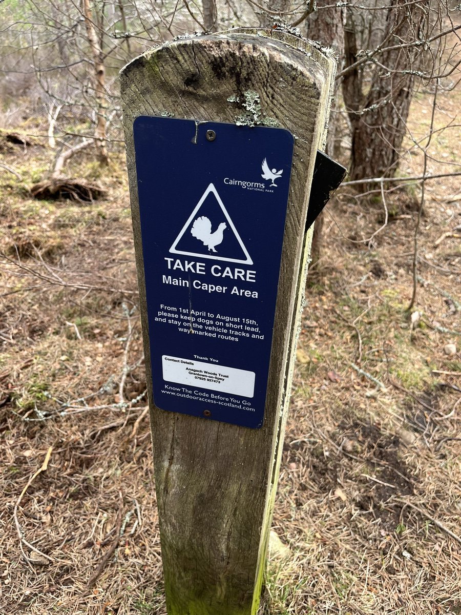 Simon Linsell tweet media