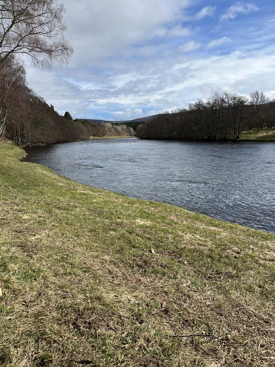 Simon Linsell tweet media