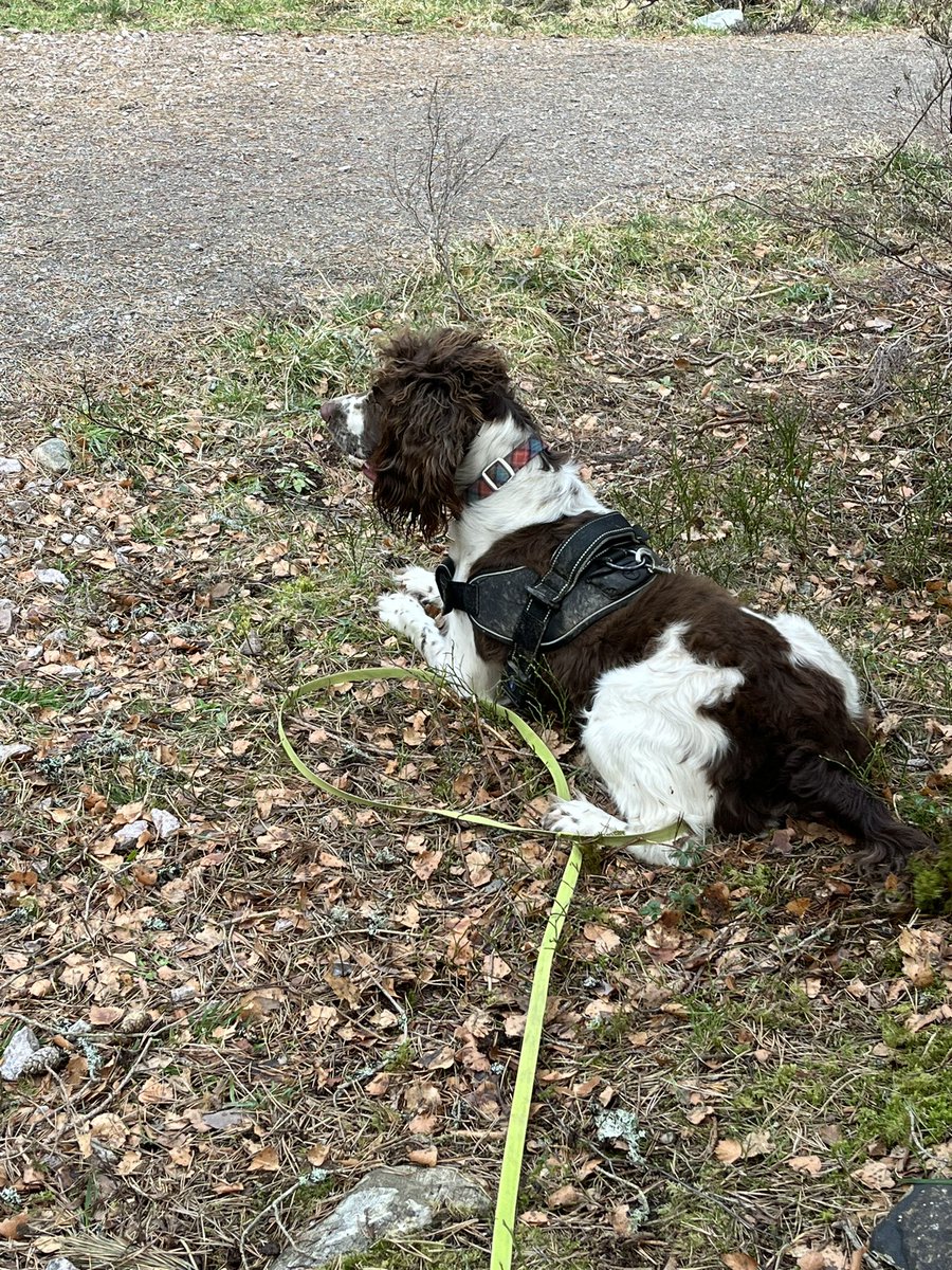 Simon Linsell tweet media