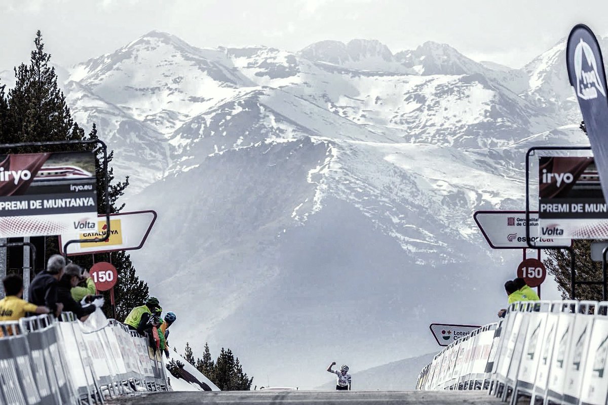 Daniel Arribas tweet media