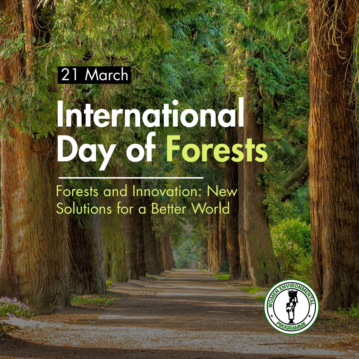 🌲 Join us in commemorating the International Day of Forests. 🌿🌱 let's unite in discovering innovative solutions for forest conservation and regeneration. #ForestInnovation #GreenTech #BetterWorld #SustainableSolutions #GLA @WECF_INT