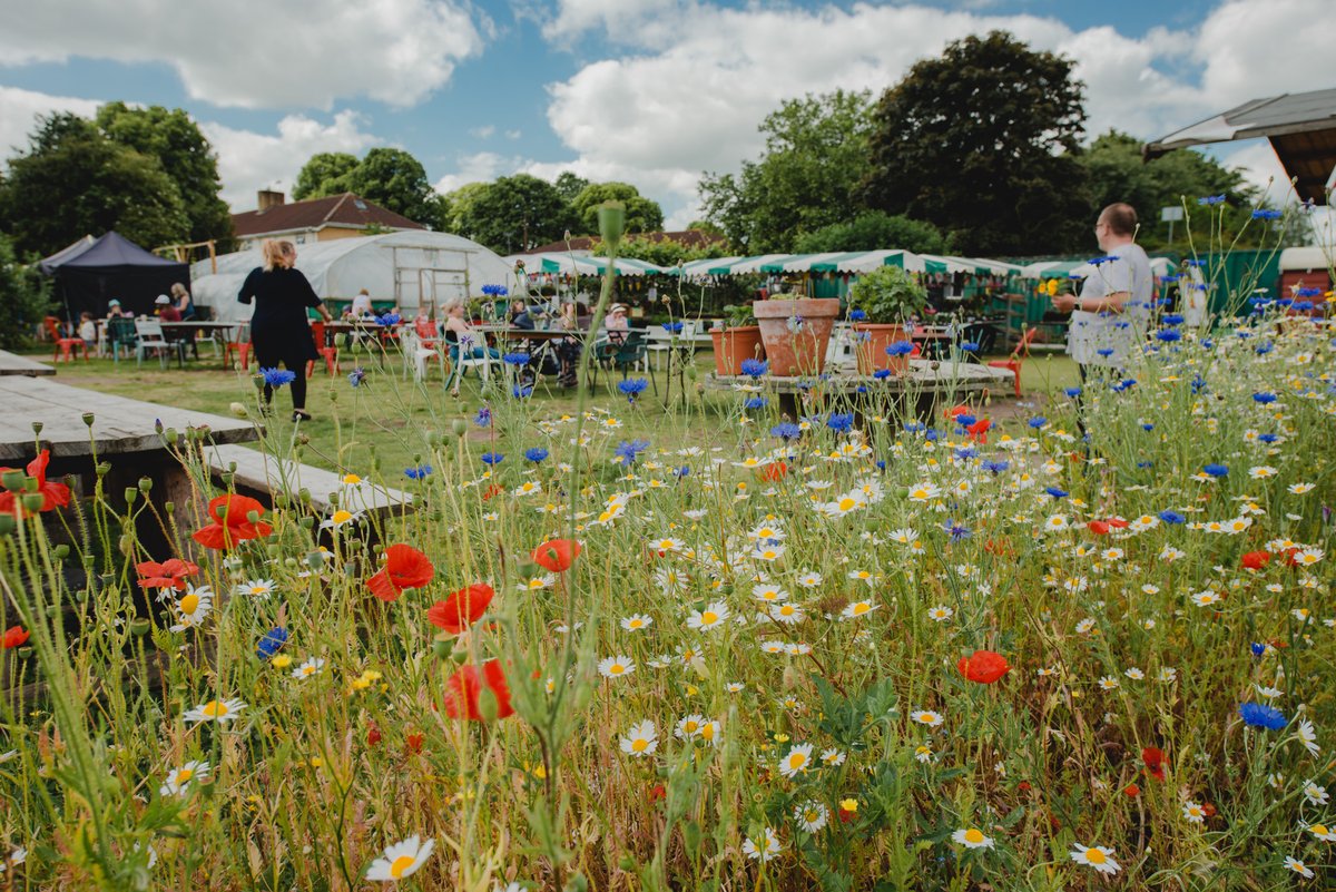 We’re running a Nature Away Day for businesses during Festival of Nature. Get involved! 🌿 Head out of the office on 4 June to reconnect, align, and motivate in beautiful green spaces in Bristol, while championing community initiatives. 💚 Find out more: businesswest.co.uk/members/blog/n…