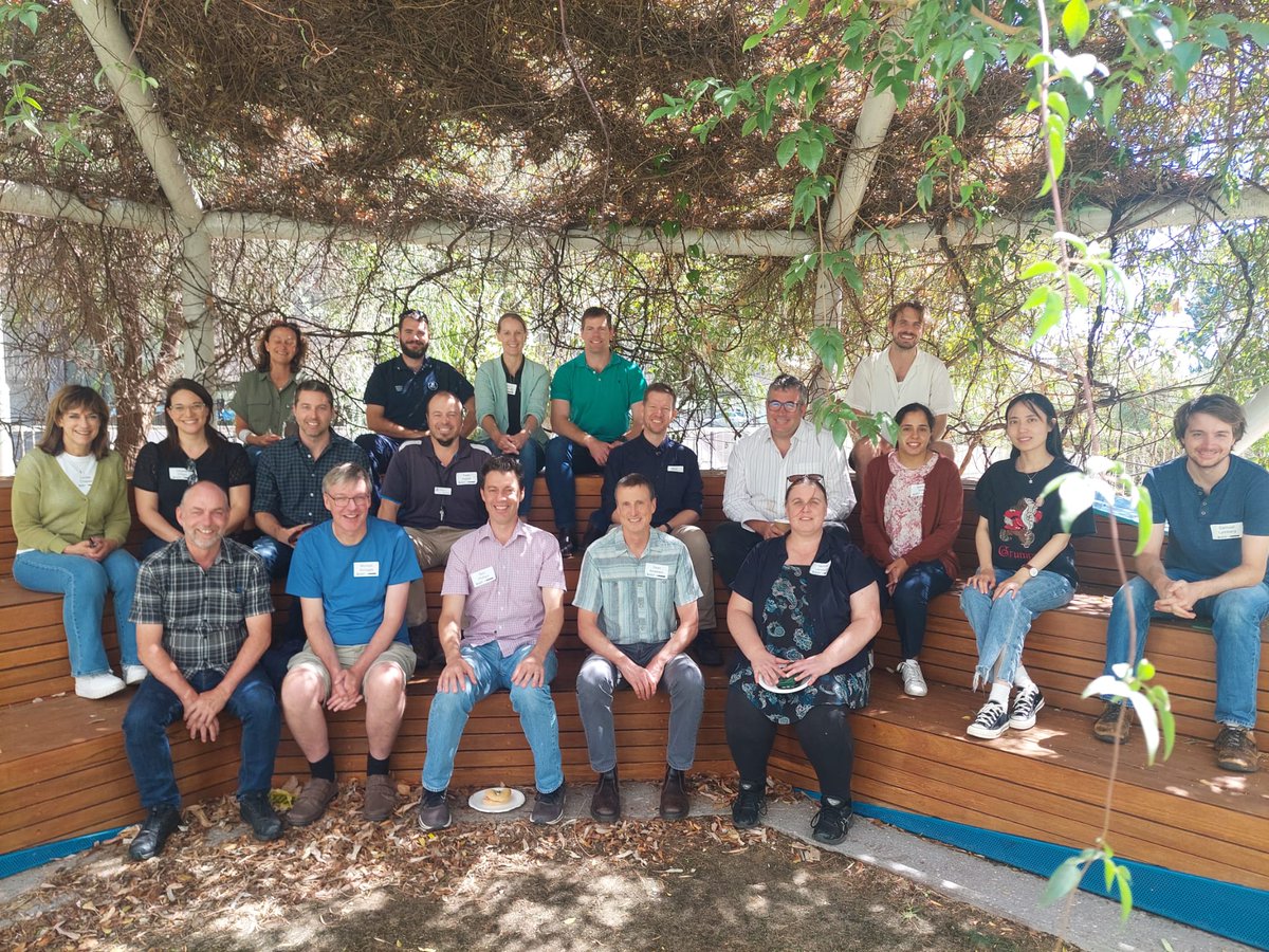 Haylee D'Agui tweet media