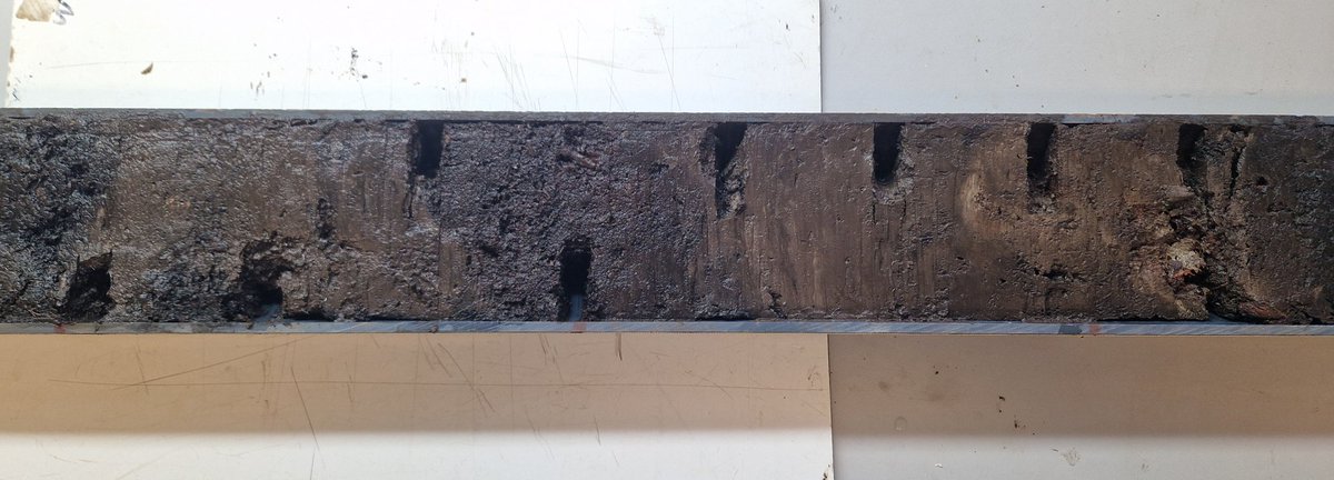 Preseli Pollen Project tweet media