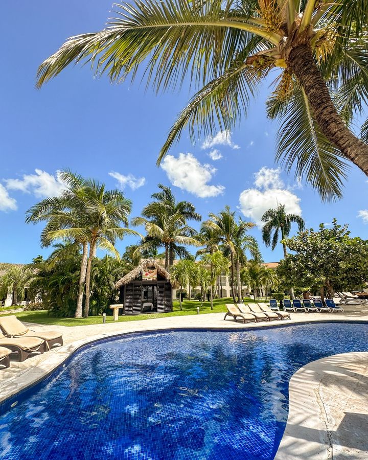 Royalton Resorts tweet media