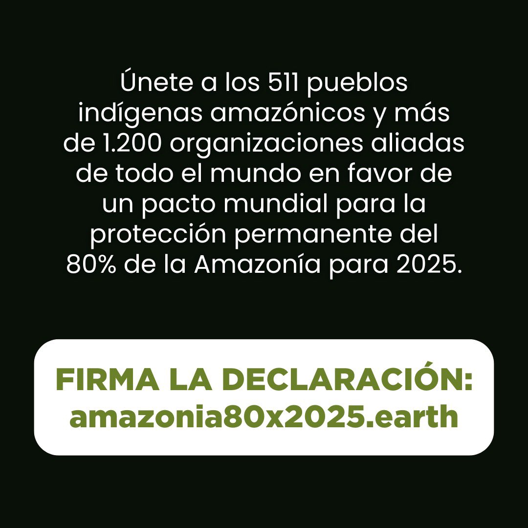 ⚡ Estamos orgullosos de formar parte de la Iniciativa #AmazoniaPorLaVida. Juntos, pedimos un pacto global para la protección permanente del 80% restante de la Amazonia para 2025. 🌱 La Amazonia es la mayor selva tropical del mundo. De su conservación depende el equilibrio…