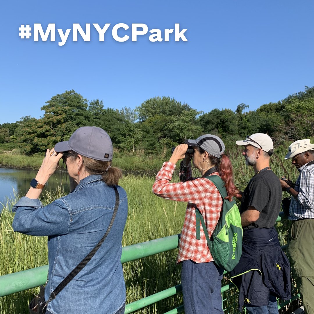 Have you delighted in birdwatching in your local park? Did you celebrate your 30th birthday on Prospect Park's long meadow? Help us advocate for NYC's green spaces, and share your #MyNYCPark story for a chance to be featured: forms.gle/Vkjfm2htP3uf35…