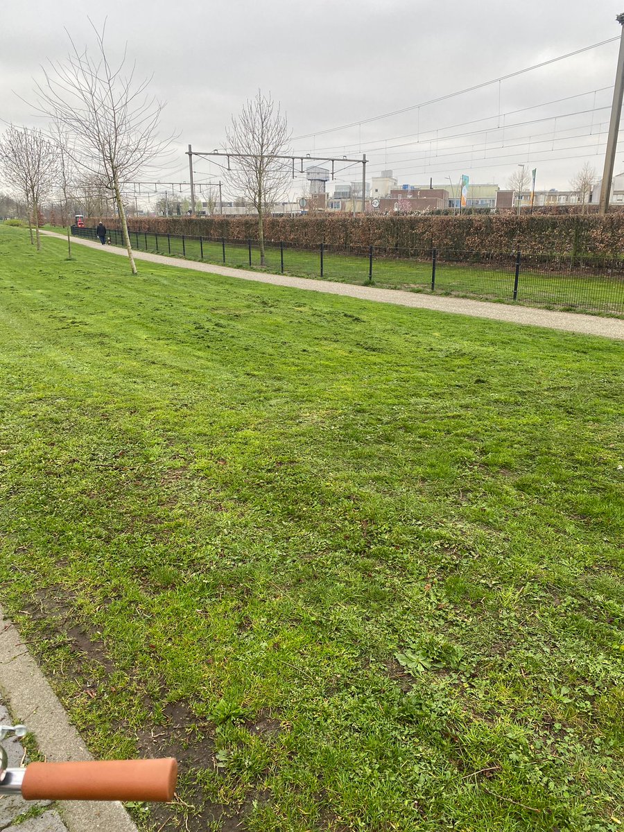 We dachten dat <a href="/gemeenteoss/">Gemeente Oss</a>  een nieuw maai beleid had. Suzanne fietste vanmorgen langs de spoorlaan en daar is de eerste maaier weer gespot. 😭 De paarse dovenetels, paardebloemen en madeliefjes zijn alweer verdwenen. Terwijl die juist nu zo belangrijk zijn voor de bijen.