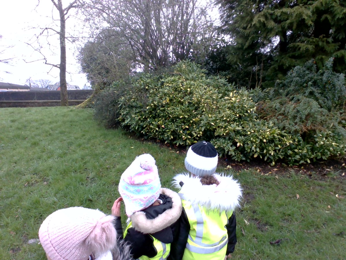 Oak class went to Corporation Park to spot changes in seasons. We followed a map of the route to get there and filled in an I spy grid looking at signs of spring.