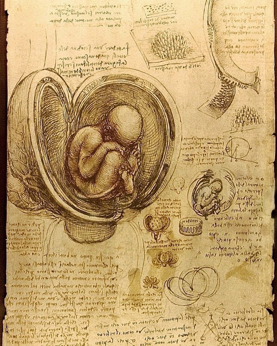 BardCode's tweet image. “I awoke only to find the rest of the wailed was asleep.” - Leonardo da Vinci

#awake #consciousness #awoke #davinci #leonardodavinci #baby #asleep
