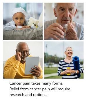 As improved cancer treatments have led to increased cancer survivorship, cancer survivors are now living longer with chronic pain. NCI is supporting research to address this issue. Learn more:buff.ly/4ak8ZU9