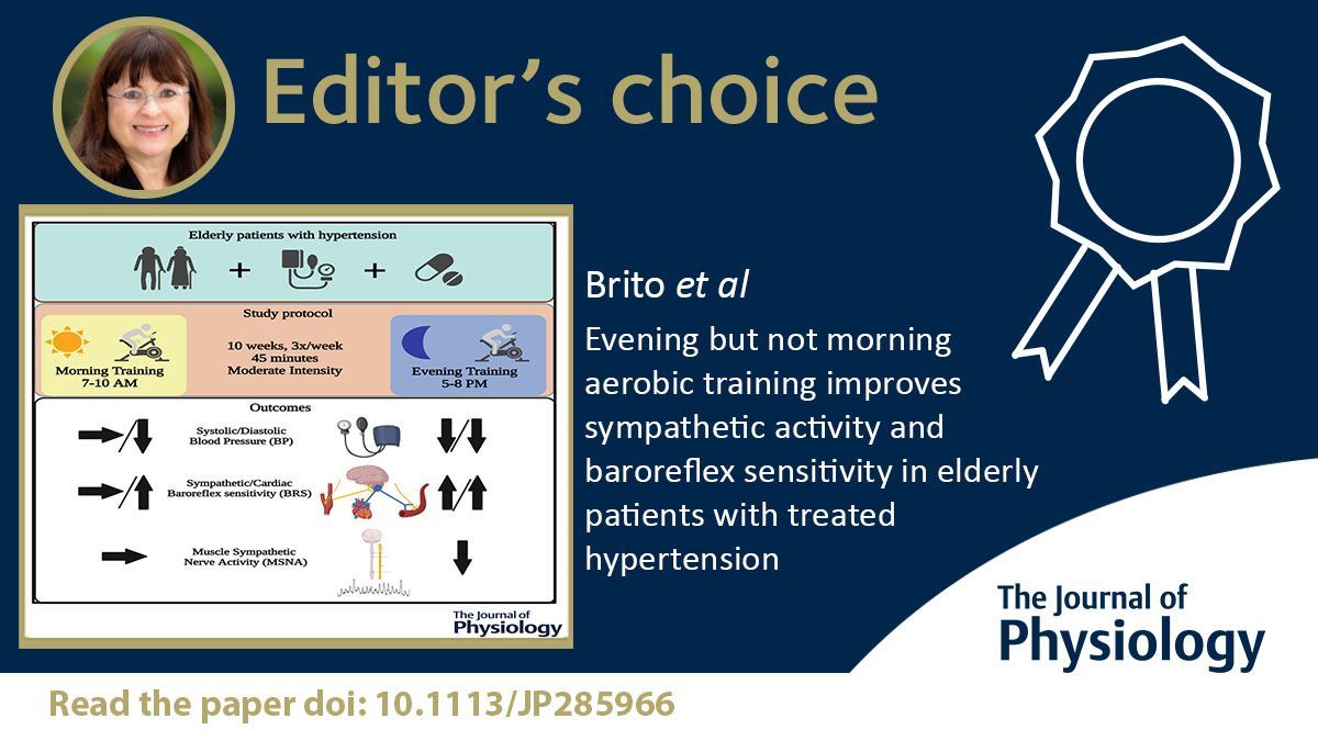 🎓EDITOR'S CHOICE🎓
<a href="/lcdebrito10/">Leandro Brito</a> (<a href="/eefeusp/">EEFEUSP</a>) et al. show how evening but not morning exercise also improves muscle sympathetic nerve activity and baroreflex sensitivity, implicating the sympathetic nervous system in the time-dependent benefits of training
📜buff.ly/3TKvzQs