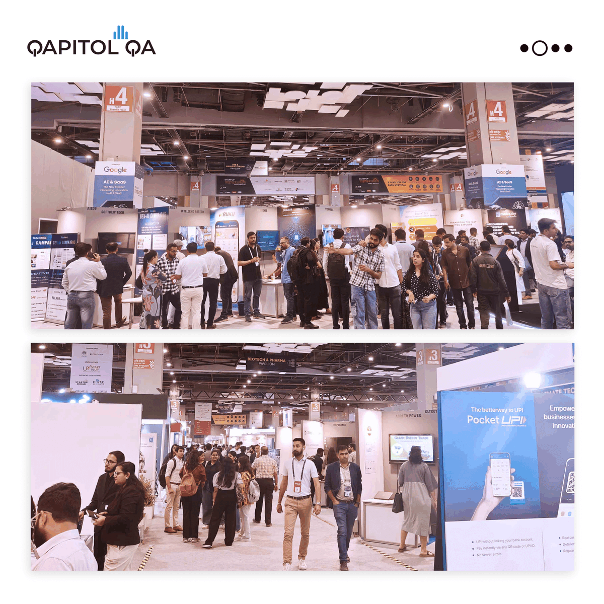 Qapitol QA tweet media