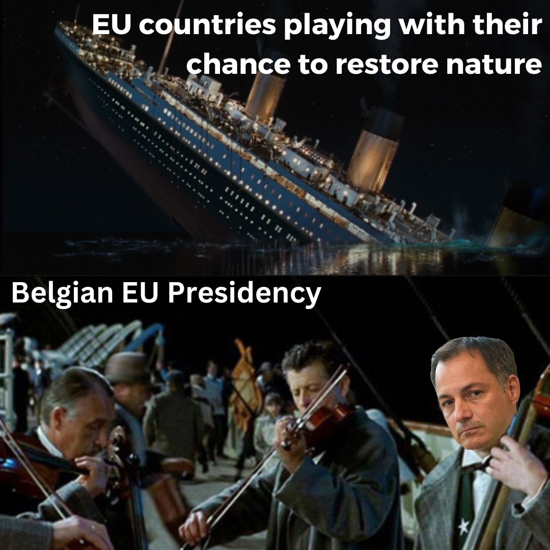 #NatureRestorationLaw talks really are the gift that keep on giving 🫠
We were all eager to close the deal before Orban's EU Presidency in July - little did we know @alexanderdecroo & @EU2024BE were the real threat.
🇧🇪, it's not too late to step up & lead the EU to #RestoreOcean!