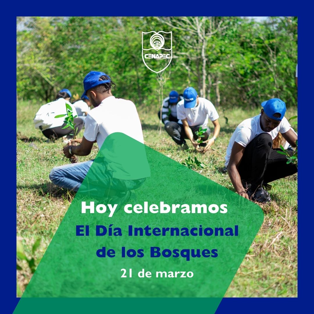 Celebramos el Día Internacional de los Bosques, tiene como objetivo concientizar sobre la importancia de los bosques en la vida de las personas y el papel que desempeñan en la sostenibilidad medioambiental, la seguridad alimentaria y erradicar la pobreza. #Preservar #CENAPEC
