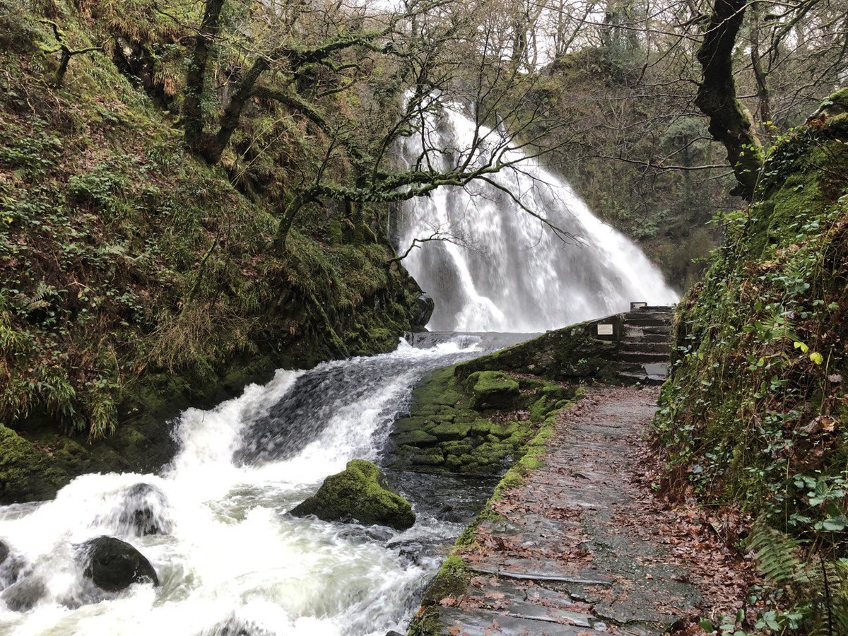 Mae'n Ddiwrnod Dŵr Byd-eang! Yng Nghynllun Gweithreu Hinsawdd Gymunedol Pen Llŷn, mae cynlluniau o blannu a hyrwyddo morwellt a chreu traethau di-blastig, tra mae grŵp Dŵr a Thir Dyffryn Peris eisiau adfer #bioamrywiaeth yn y dyffryn. Beth mae #dŵr yn ei olygu i chi?