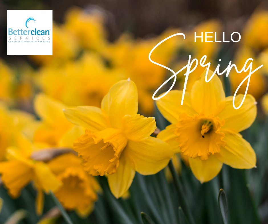 🌷 Spring is here! 🌷 
Show your work premises some love with our professional cleaning services this spring! #spring #springcleaning #commercialcleaning #officecleaning