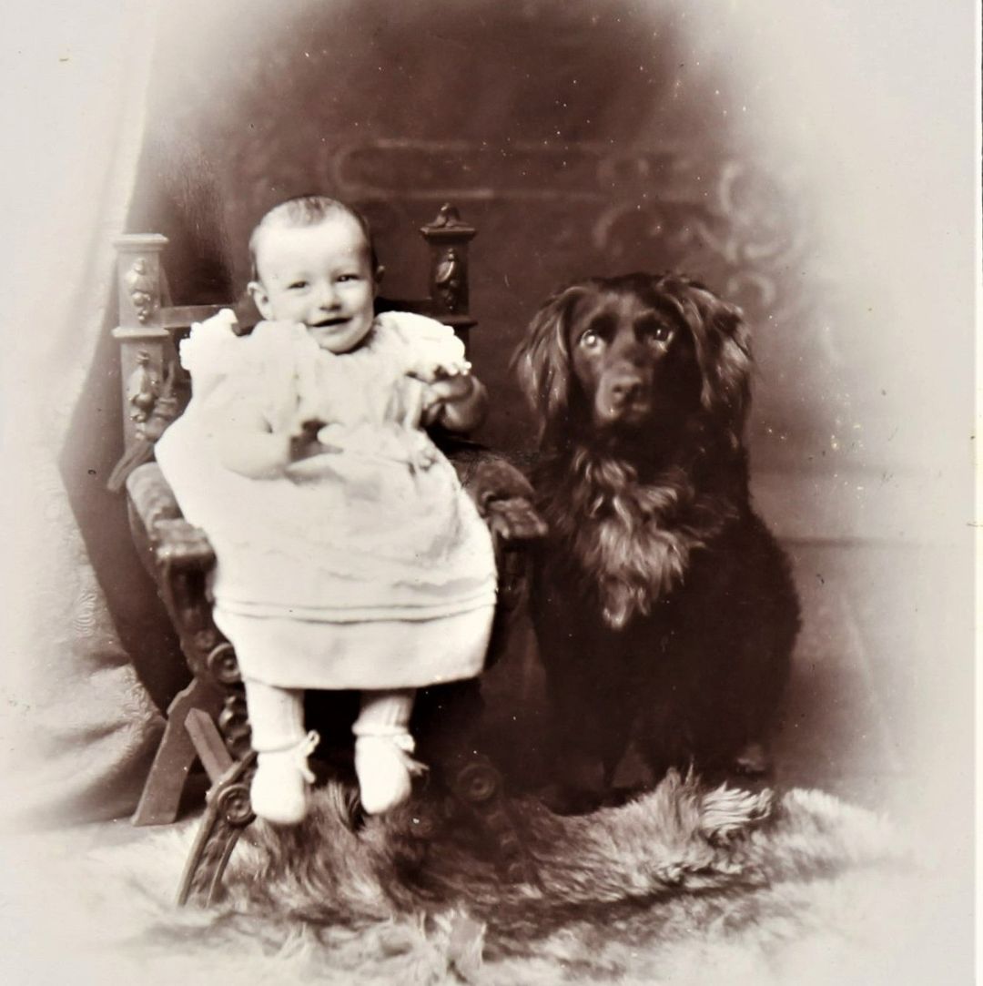 It’s always exciting to see animals in archives. This photograph from @PembsArchives of Charles W. H. Loving and his fluffy companion is from 1908. It’s sweet to know that wanting to take photos of our fur-babies is not just a modern thing. #ArchiveAnimals #Archive30