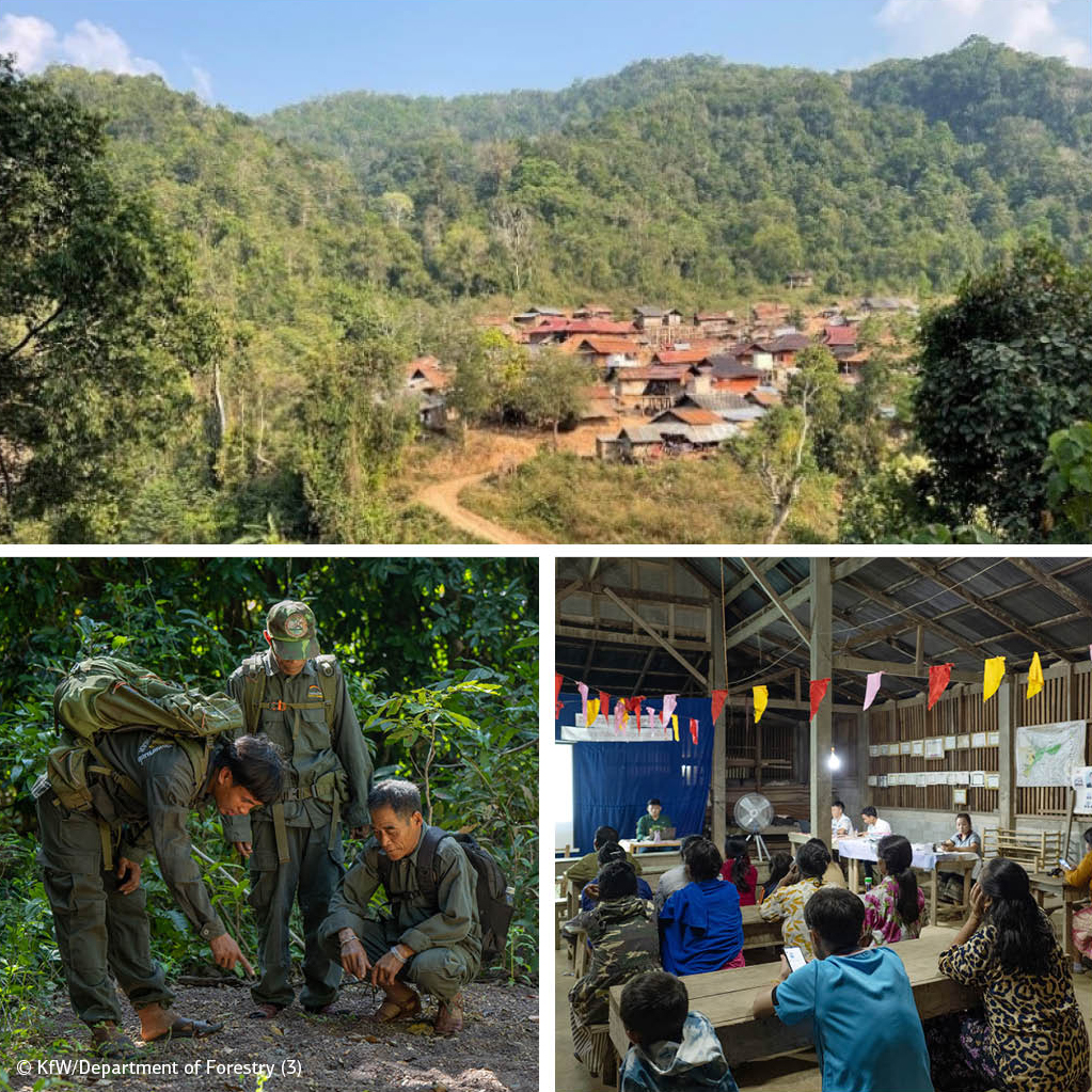 ❗️ Today is #InternationalForestDay. 🌳 @KfW_FZ_int promotes #forest protection, #reforestation and #restoration worldwide. In #Laos, a project to protect #biodiversity + forests has been implemented. It also improves the situation of the population. 👉️kfw-entwicklungsbank.de/About-us/News/…