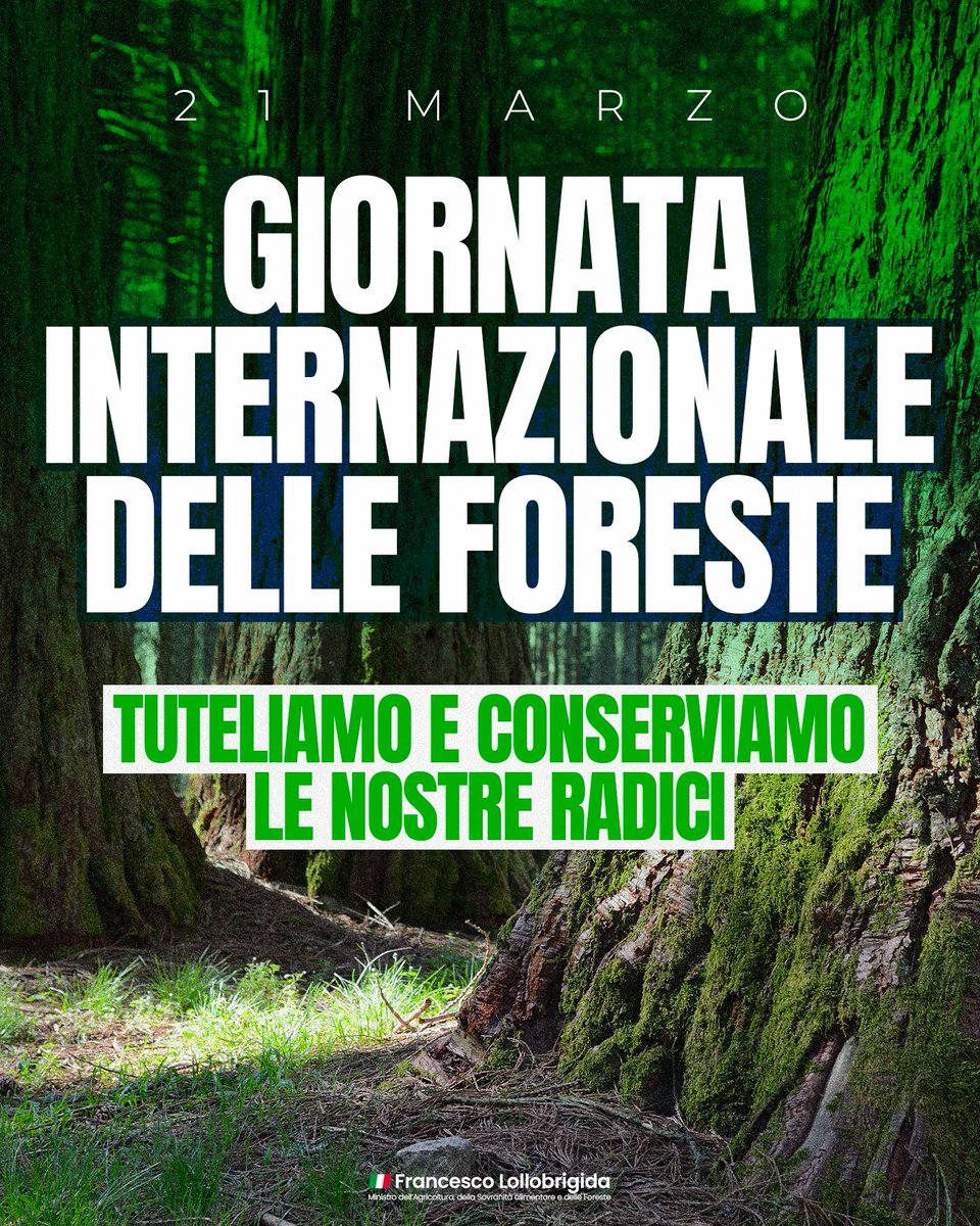 Celebriamo la giornata internazionale delle Foreste, simbolo delle nostre radici, patriarchi verdi della nostra grande biodiversità, custodi del rapporto millenario che lega uomo e natura.