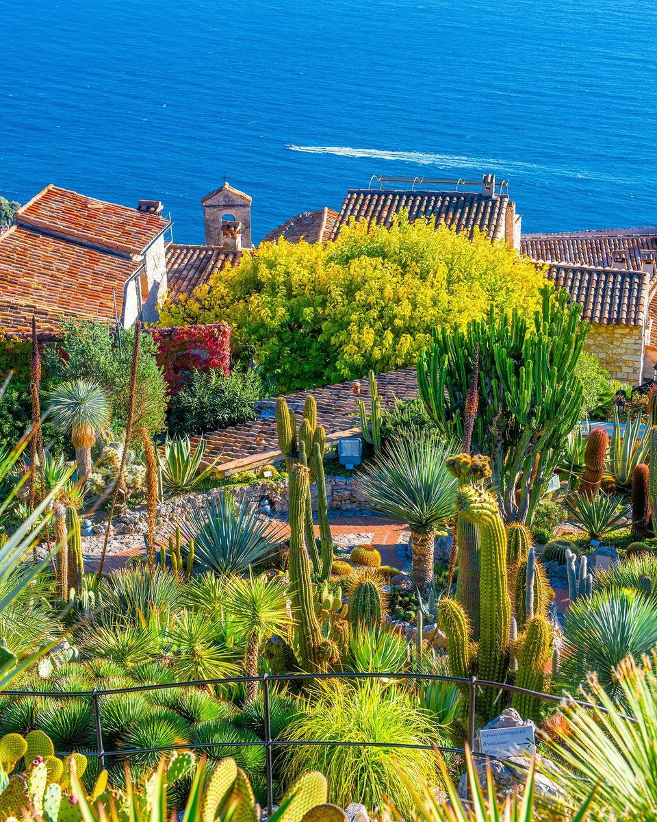 🇫🇷Vous venez découvrir les cactus du Jardin Exotique ? 🤗🌵❤️ . . . 🇬🇧Have you come to discover the Exotic Garden's cacti ? 🤗🌵❤️ . . . 📸julianontheroute (IG) #Eze #Ezevillage #CotedAzurFrance #ExploreNiceCotedAzur