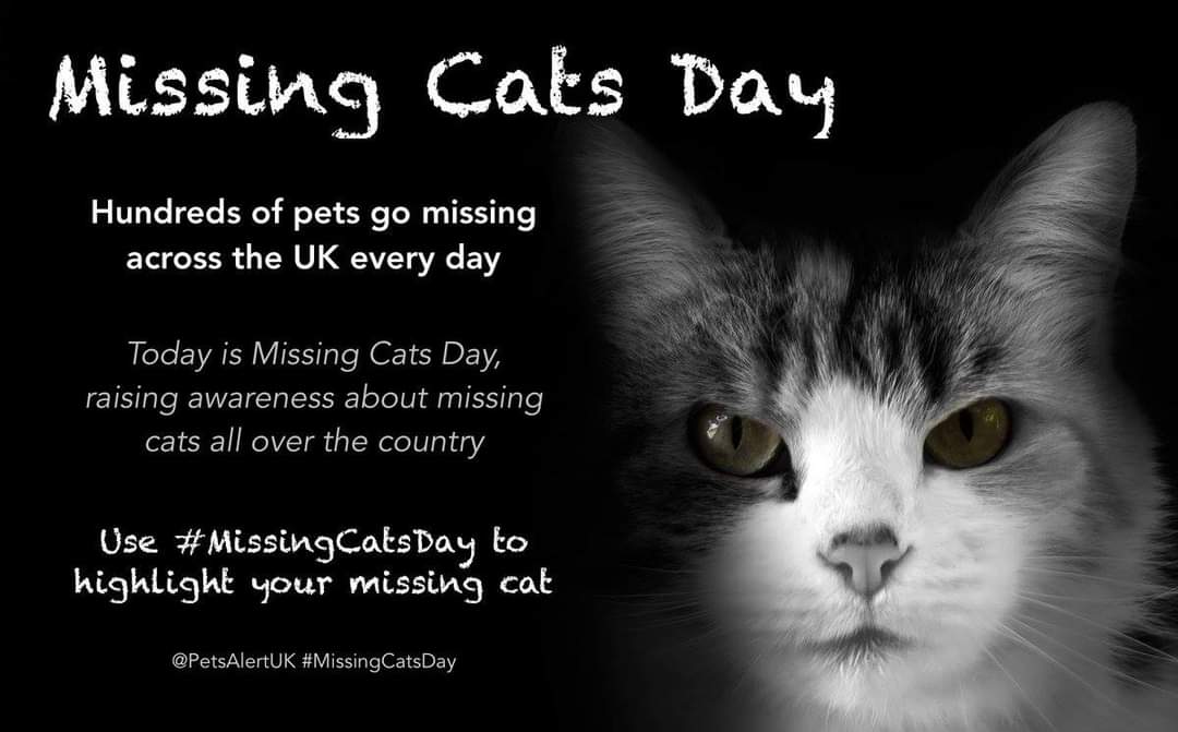 #CatsAreFamily
Remember missing cats🐈's on 21st March 2024 #MissingCatsDay & spare them a Share/RePost
Use hashtags #MissingCatsDay
#MissingAndStolenCatsDay 
with photos/poster of your missing #cat🐈
#ScanMe #CheckMyChip #CatsAreFamilyToo
#MissingCatsUK 
#MissingNeverHeals 💔