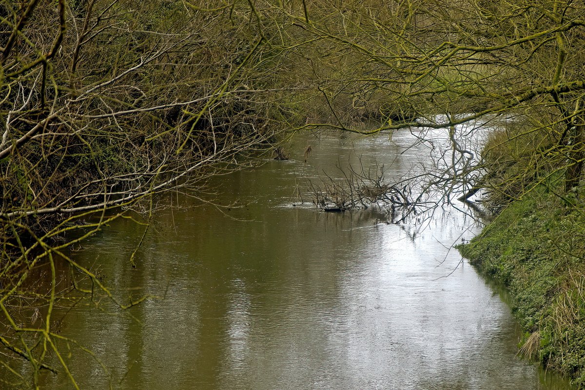 squaresteps's tweet image. This TROUT stream runs through the narrow green belt between Birmingham and Coventry, that developers are slowly eroding. Its large flood plain areas control the flow and keep it clean. It is an SSSI that relies on the flood plains and deserves to survive.